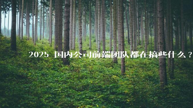 2025 国内公司前端团队都在搞些什么?