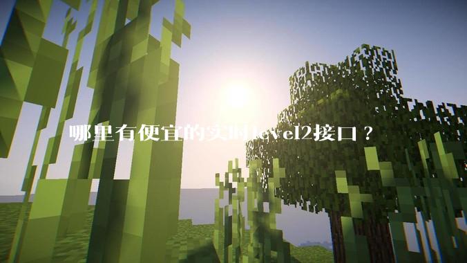哪里有便宜的实时level2接口?