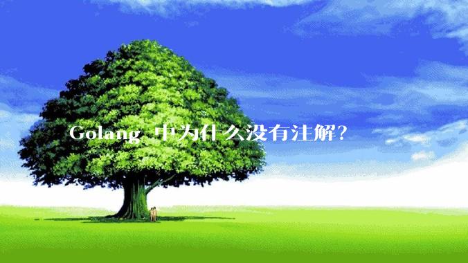 Golang 中为什么没有注解？