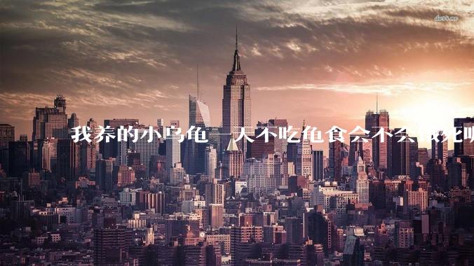 我养的小乌龟一天不吃龟食会不会饿死呢？