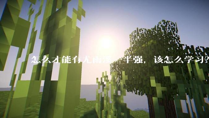 怎么才能有尤雨溪一半强，该怎么学习？