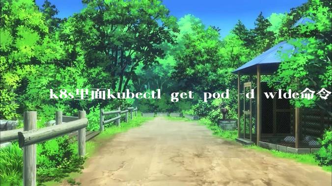 k8s里面kubectl get pod -d wide命令作用是什么？