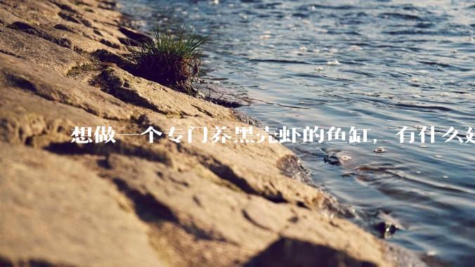 想做一个专门养黑壳虾的鱼缸，有什么建议？