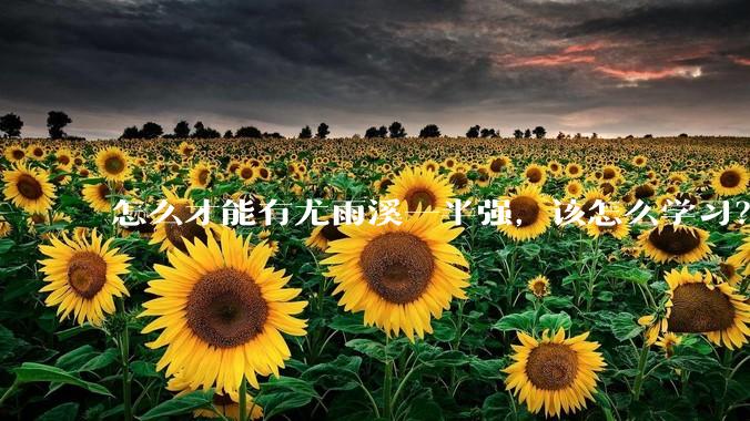 怎么才能有尤雨溪一半强，该怎么学习？