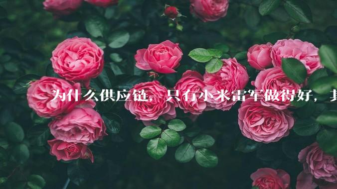 为什么供应链，只有小米雷军做得好，其他人做不好?