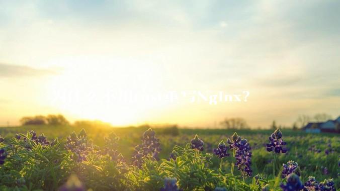 为什么不用rust重写Nginx？