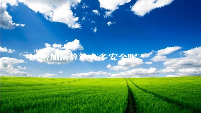国密加密算法有多安全呢？