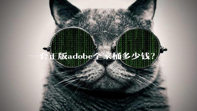 一套正版adobe全家桶多少钱？