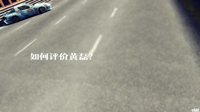 如何评价黄磊？
