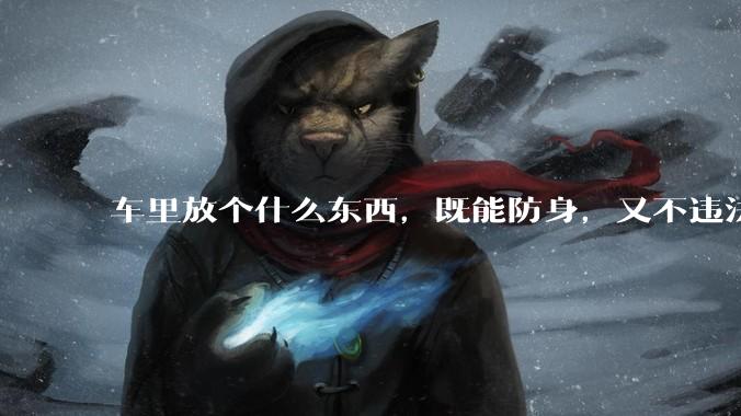 车里放个什么东西，既能防身，又不违法，看着还吓人的？