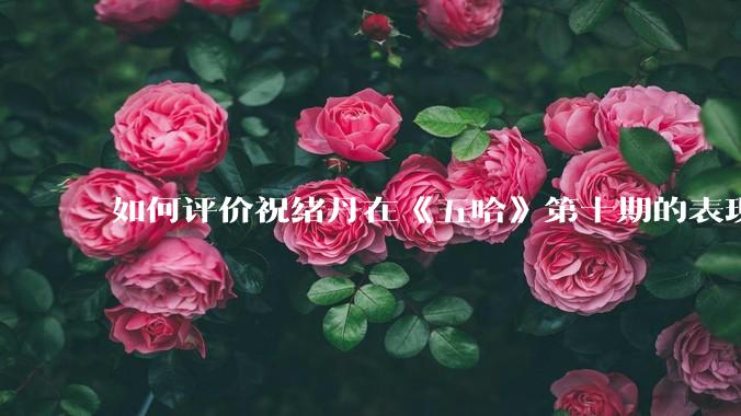 如何评价祝绪丹在《五哈》第十期的表现？