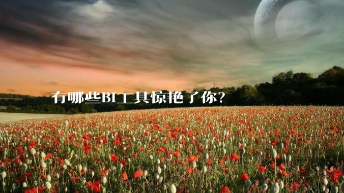 有哪些BI工具惊艳了你？