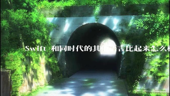Swift 和同时代的其他语言比起来怎么样？