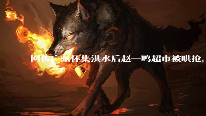 网传广东怀集洪水后赵一鸣超市被哄抢，县***回应相关单位正在核实，若属实哄抢者该承担哪些法律责任？