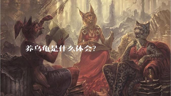 养乌龟是什么体会？