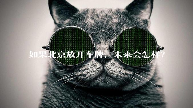如果北京放开车牌，未来会怎样？