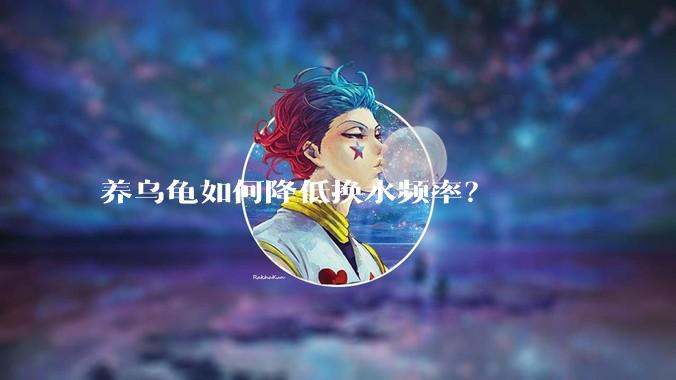 养乌龟如何降低换水频率？
