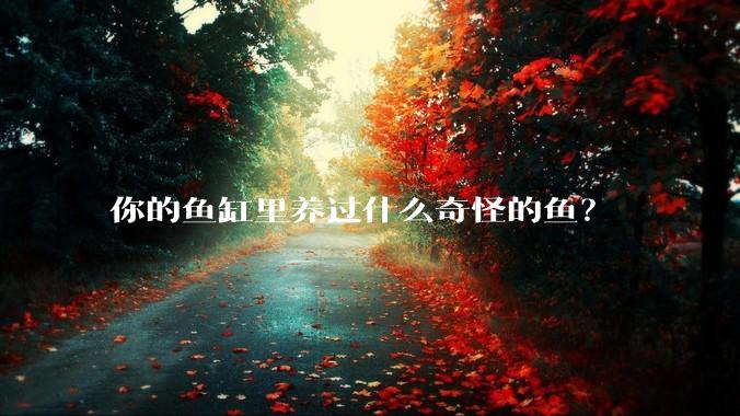 你的鱼缸里养过什么奇怪的鱼？
