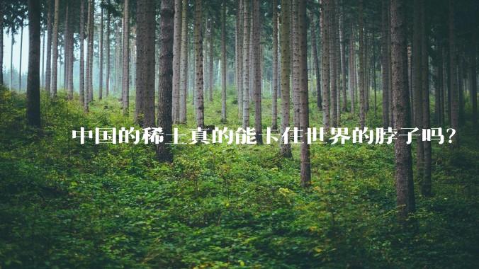 中国的稀土真的能卡住世界的脖子吗？