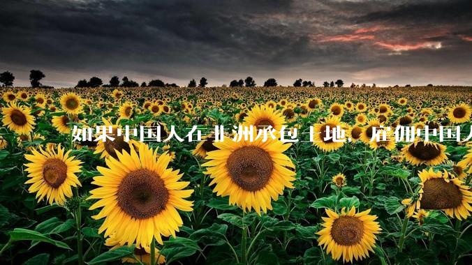 如果中国人在非洲承包土地，雇佣中国人大规模种粮食，可行吗？