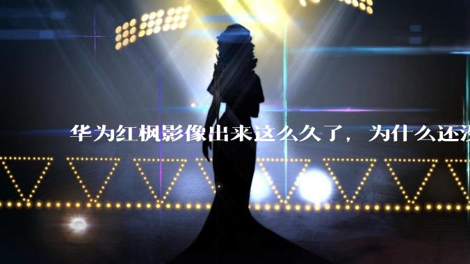 华为红枫影像出来这么久了，为什么还没有友商跟进？是不是说明这是一项可有可无的技术？