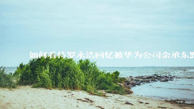 如何看待罗永浩回忆被华为公司余承东野蛮人式挖人？