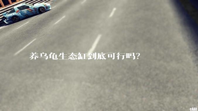 养乌龟生态缸到底可行吗？