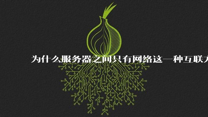 为什么服务器之间只有网络这一种互联方式？