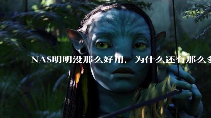 NAS明明没那么好用，为什么还有那么多人坚持选择使用？