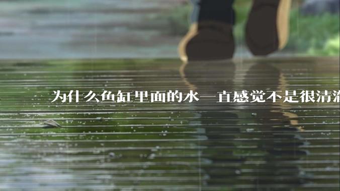 为什么鱼缸里面的水一直感觉不是很清澈呢？