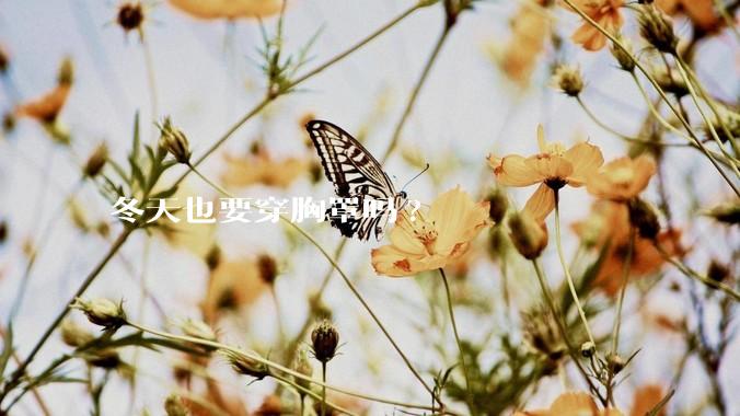 冬天也要穿胸罩吗?