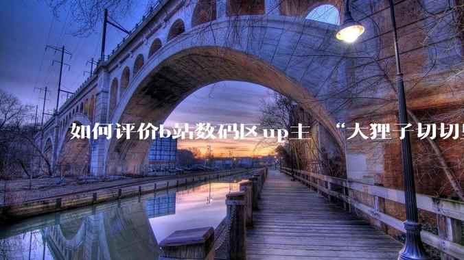 如何评价b站数码区up主 “大狸子切切里”?