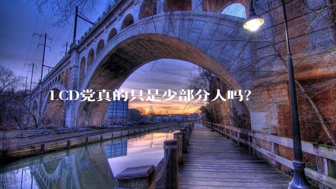 LCD党真的只是少部分人吗？